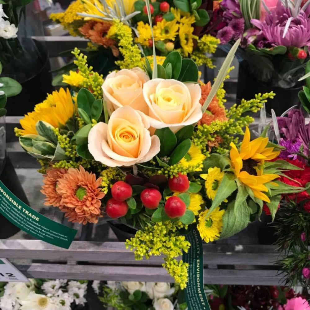 Meet your Posher, Julie